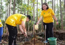 Mitra OIKN Tanami Pohon di Kawasan Miniatur Hutan Hujan Tropis