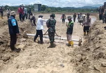 Pengembangan Benih Padi Unggul Upaya Tingkatkan Produktivitas Pertanian Mahulu