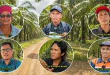 13 Tahun Menanti Kejelasan Plasma, Petani Sawit PT MWJP Dibebani Utang Miliaran