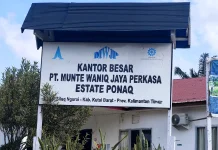 Koperasi Sawit Desak PT MWJP Verifikasi Ulang Lahan Plasma