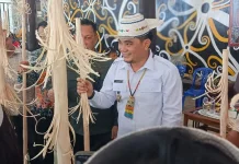 Tradisi Mecak Undat Lepek Majau Dayak Kenyah Wujud Syukur Panen Padi