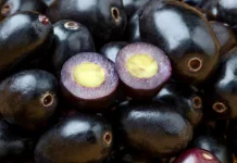 Ungu yang Berkhasiat:  Manfaat Buah Jamblang yang Menakjubkan
