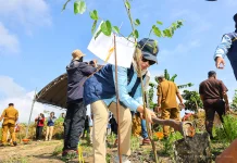Atasi Perambahan Hutan, Otorita IKN Tanam 100 Bibit di Tahura Bukit Soeharto