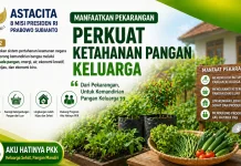 Warga Balok Asa Diajak Manfaatkan Pekarangan untuk Ketahanan Pangan Keluarga