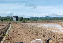 BUMKA Ujoh Bilang Siap Salurkan Pupuk Subsidi Pertanian