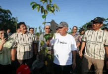 Otorita IKN Tanam 700 Pohon, Perkuat Gaya Hidup Hijau