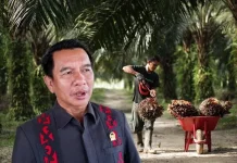 Potit Prediksi Ekonomi Kampung Penghasil Sawit Akan Menggeliat Dua Tahun Lagi