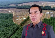 Program Sawit Rakyat  di Kubar Tak Merata, Ini Penyebabnya
