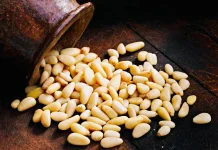 Kacang Pinus, Camilan Gurih yang Baik untuk Diet dan Kesehatan Jantung