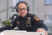 Penerimaan Negara dari Sektor Bea Cukai Nasional Tahun 2025 Capai Rp300 Triliun