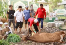 Ketua TGM Kubar Alsiyus Inisiasi Kurban Bersama Lintas Organisasi