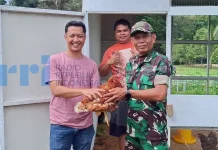 Kodim 0912/KBR dan Layung Farm Kembangkan Ayam Petelur dengan Kandang Terowongan