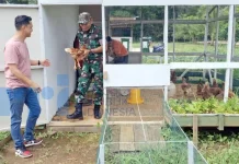 Dukung Program MBG, Layung Farm Dorong Pengembangan Ayam Petelur di Kodim 0912/KBR