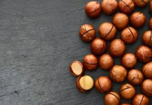 Si Ratu Kacang Mahal: Rahasia Sehat dan Tips Mengolah Macadamia yang Tepat