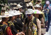 Pemkab Mahulu Gelar Panen Padi dan Syukuran Adat Uman Untat
