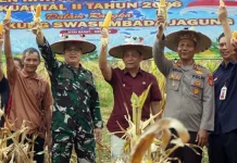 Polres Kubar Mendekati Target Penanaman Jagung 87 Hektare