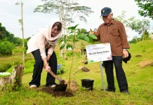 Aksi Iklim di IKN Diperkuat Melalui Gerakan Penanaman Pohon