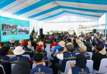 IKN Perkuat Pemulihan Lingkungan Melalui Gerakan ASRI Nasional