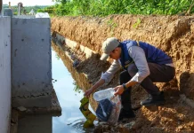 Green Warrior Nilai Kolaborasi Jadi Kunci Menjaga Lingkungan di IKN