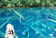 Menguak Pesona Danau Sigending Berau
