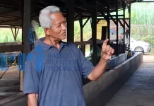 Pupuk Organik Badan Usaha Petani Kubar Hasilkan Tomat Lebih Sehat