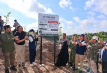 IKN Percepat Pemulihan Lahan Bekas Tambang Ilegal di Bukit Soeharto