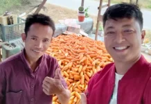 Layung Farm Siap Bantu Serap Hasil Panen Jagung Petani Kutai Barat