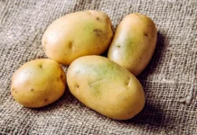 Tips Tepat Mengolah Kentang agar Nutrisinya Tetap Terjaga