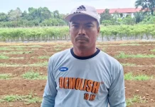 Petani Harapkan Dukungan Pemerintah Perkuat Ketahanan Pangan Daerah