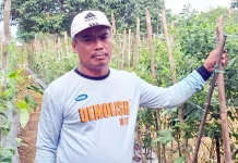 Harga Sayuran Tak Stabil Jadi Tantangan Petani Kutai Barat