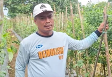 Petani Asal Jawa Tengah Nilai Bertani di Kubar Menjanjikan