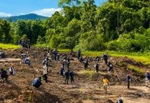 Otorita IKN Tanam Lima Juta Pohon untuk Pulihkan Ekosistem Nusantara