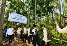 Basuki Beberkan Konsep Kota Hutan IKN di Hadapan Mahasiswa dan Profesor Jepang
