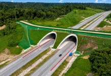Mulai Difungsikan, Jembatan Satwa di Tol IKN Jadi Koridor Aman Satwa Liar