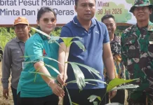 Peduli Pelestarian Pesut Mahakam,Pemkab Kubar Tanam Bibit Aren