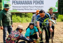 Bupati Kutai Barat Dorong Aren Jadi Sumber Ekonomi Baru Masyarakat Penyinggahan