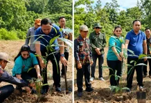 Kutai Barat Kembangkan Aren untuk Jaga Habitat Pesut Mahakam dan Kawasan Gambut