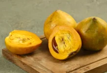 Langka dan Manis, Ini Manfaat Buah Campolay bagi Kesehatan