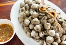 Luar Biasa! Ini Manfaat Kerang untuk Kesehatan dan Tips Olahnya