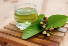 Ampuh Alami! Ini Manfaat Daun Jambu Biji bagi Tubuh dan Tipsnya