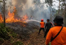 Warga Minta Sosialisasi Karhutla Diperkuat hingga Tingkat RT
