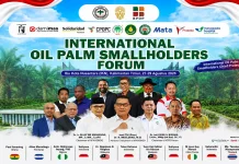 Apkasindo Dorong Harga Sawit Indonesia Lebih Kompetitif di Dunia