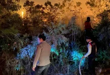 Karhutla Kampung Mendung Meluas, Api Dekati Permukiman Warga