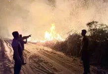 Titik Api Karhutla Kampung Mendung Mengarah ke Kecamatan Muara Lawa