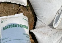 Sebanyak 4,5 Ton Beras Bantuan Pangan Tenggelam di Perairan Sungai Kedang Pahu