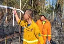 Lima Titik Karhutla Bersamaan, KPH Mook Manaar Bulatn Kewalahan Personel