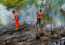 Dinkes Kaltim Siapkan Masker hingga Air Bersih Antisipasi ISPA akibat Karhutla