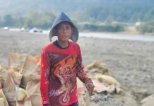 Warga Mahulu Manfaatkan Surutnya Sungai Mahakam untuk Ambil Material