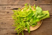 Manfaat Utama Sayur Kangkung yang Jadi Favorit Masyarakat Indonesia