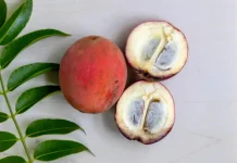 Manfaat Buah Mentega untuk Kesehatan Tubuh serta Tips Pintar Mengolah